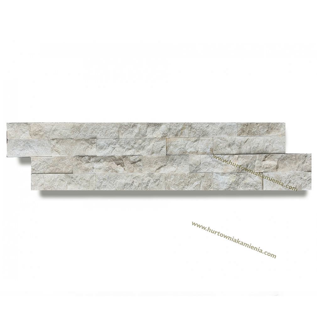 T-1 PANEL