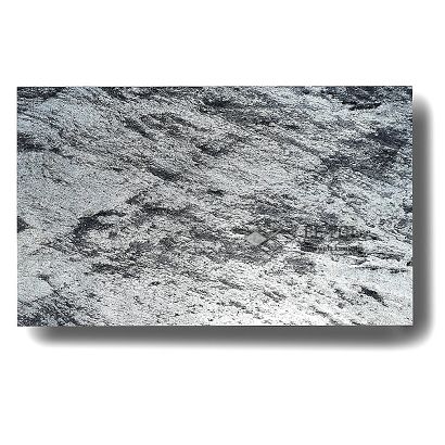 SILVER SHINE