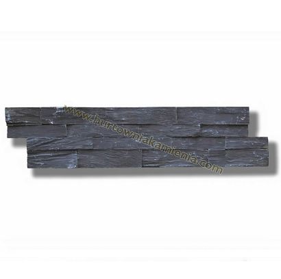 22P RAMZES